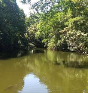 Image of Parque das Hortênsias park in Taboão da Serra, Sao Paulo, Brazil Image of Parque das Hortênsias park in taboao-da-serra, sao-paulo, brazil