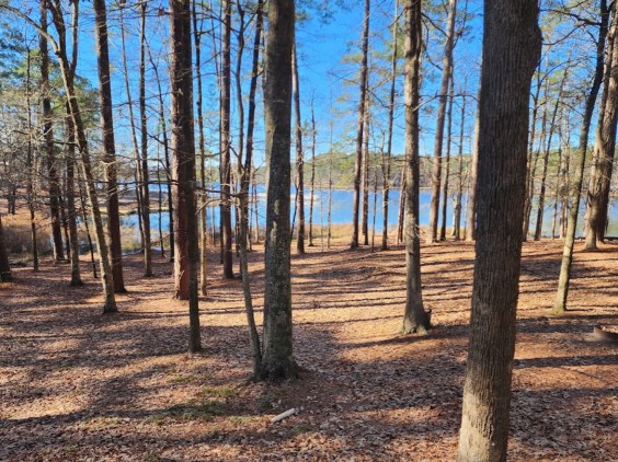 Image of Bienville National Forest park in Scott County, Minnesota, United States Image of Bienville National Forest park in scott-county, minnesota, united-states
