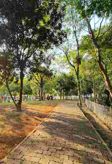 Image of Bosque Carlos Gerd Schroeder park in Rio do Sul, Santa Catarina, Brazil Image of Bosque Carlos Gerd Schroeder park in rio-do-sul, santa-catarina, brazil