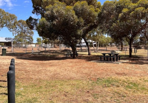 Image of Southern Cross Dog Park park in Southern Cross, Western Australia, Australia Image of Southern Cross Dog Park park in southern-cross, western-australia, australia