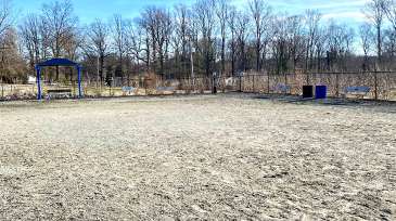 Image of Fairfax City Dog Park park in Fairfax, California, United States Image of Fairfax City Dog Park park in fairfax, california, united-states