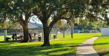 Image of Azalea Park park in St. Petersburg, Florida, United States Image of Azalea Park park in st-petersburg, florida, united-states