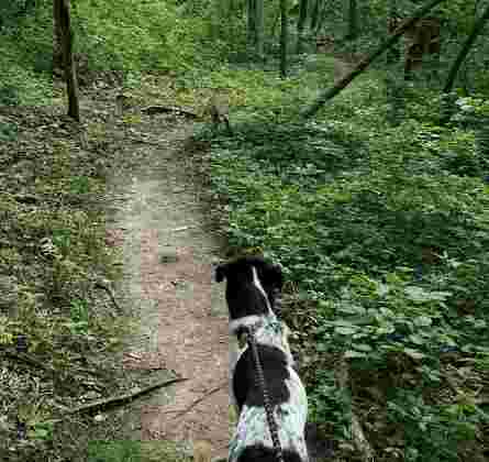 Image of Blue River Parkway Trails - Blue Ridge Blvd Trail Head park in Kansas City, Kansas, United States Image of Blue River Parkway Trails - Blue Ridge Blvd Trail Head park in kansas-city, kansas, united-states