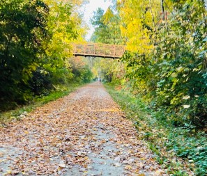 Image of Minnesota River Bluffs LRT Regional Trail park in Chaska, Minnesota, United States Image of Minnesota River Bluffs LRT Regional Trail park in chaska, minnesota, united-states