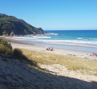 Image of Forestry Beach park in Te Arai, Auckland Region, New Zealand Image of Forestry Beach park in te-arai, auckland-region, new-zealand