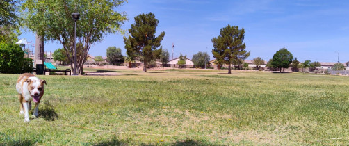 Image of Richard Tam Park park in North Las Vegas, Nevada, United States Image of Richard Tam Park park in north-las-vegas, nevada, united-states
