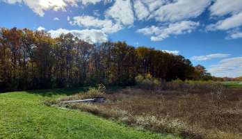 Image of Wall Park park in Ypsilanti, Michigan, United States Image of Wall Park park in ypsilanti, michigan, united-states