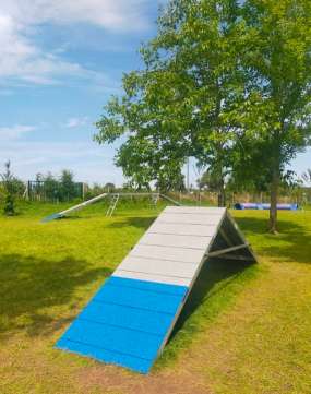 Image of Parc canin de Kermesquel park in Vannes, Morbihan, France Image of Parc canin de Kermesquel park in Vannes, Morbihan, France