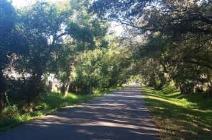 Image of Pinellas Trail park in Largo, Florida, United States Image of Pinellas Trail park in largo, florida, united-states