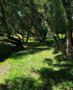Image of Pioneer Park park in Billings, Montana, United States Image of Pioneer Park park in billings, montana, united-states