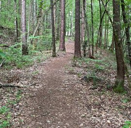 Image of Cherokee Bluff Dam Railroad Trail- Trailhead park in Dadeville, Alabama, United States Image of Cherokee Bluff Dam Railroad Trail- Trailhead park in dadeville, alabama, united-states