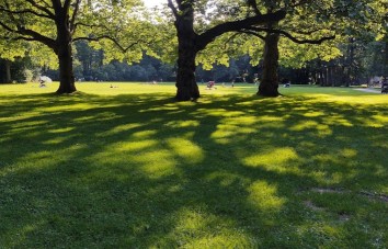 Image of Volkspark Kaiserslautern park in Kaiserslautern, Rheinland-Pfalz, Germany Image of Volkspark Kaiserslautern park in kaiserslautern, rheinland-pfalz, germany