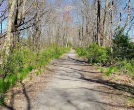 Image of West Bridgewater Rail Trail park in West Bridgewater, Massachusetts, United States Image of West Bridgewater Rail Trail park in west-bridgewater, massachusetts, united-states