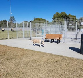 Image of Bark Yard park in Allen, Texas, United States Image of Bark Yard park in allen, texas, united-states