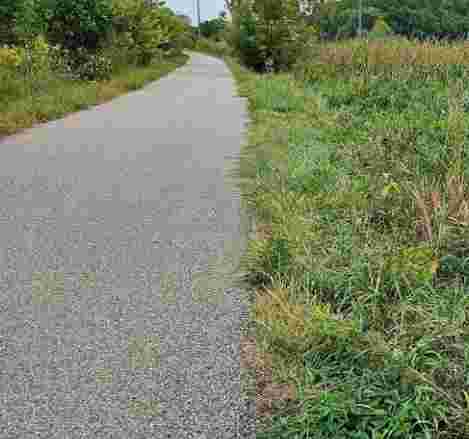 Image of City of Mankato Sakatah Trail park in Mankato, Minnesota, United States Image of City of Mankato Sakatah Trail park in mankato, minnesota, united-states