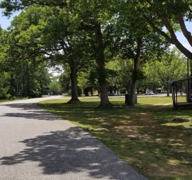Image of Briarfield Park park in Hampton, Georgia, United States Image of Briarfield Park park in hampton, georgia, united-states
