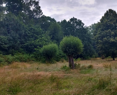 Image of Noorderpark park in Meppel, Drenthe, Netherlands Image of Noorderpark park in meppel, drenthe, netherlands