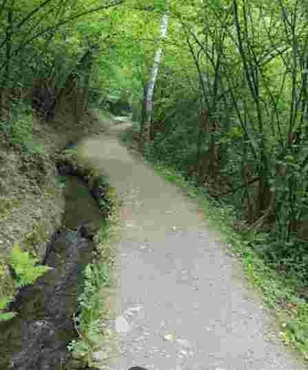 Image of Waalweg di Rablà park in Rabland, Trentino-South Tyrol, Italy Image of Waalweg di Rablà park in rabland, trentino-south-tyrol, italy