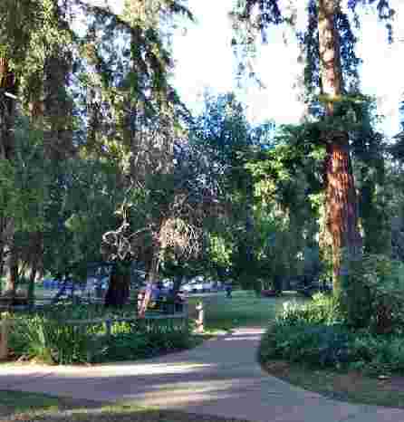 Image of Stow Grove Park park in Goleta, California, United States Image of Stow Grove Park park in goleta, california, united-states