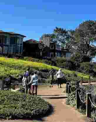 Image of Coast Walk Trail park in San Diego, California, United States Image of Coast Walk Trail park in san-diego, california, united-states