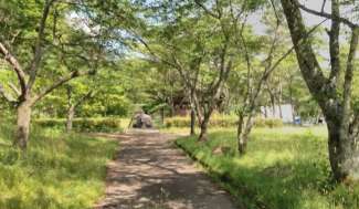 国営みちのく杜の湖畔公園 Dog Park in Kawasaki | Re