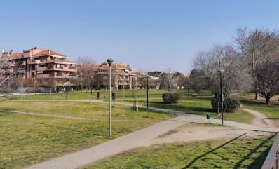 Image of Parco polifunzionale park in Cernusco sul Naviglio, Lombardia, Italy Image of Parco polifunzionale park in cernusco-sul-naviglio, lombardia, italy