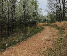 Image of Decatur Legacy Park park in Decatur, Alabama, United States Image of Decatur Legacy Park park in decatur, alabama, united-states