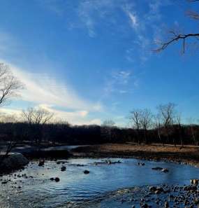 Image of Fullersburg Woods Forest Preserve park in Oak Brook, Illinois, United States Image of Fullersburg Woods Forest Preserve park in oak-brook, illinois, united-states
