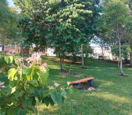 Image of Parque Los Robles park in San Vicente, Heredia, Costa Rica Image of Parque Los Robles park in san-vicente, heredia, costa-rica