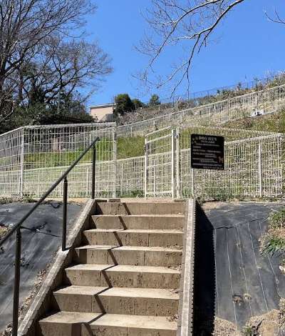 あおぞら公園ドッグラン Dog Park in Yokohama | Revie