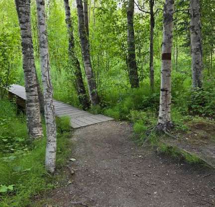 Image of Wasilla Creek Boardwalk Trail park in Wasilla, Alaska, United States Image of Wasilla Creek Boardwalk Trail park in wasilla, alaska, united-states