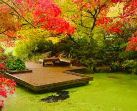 Image of Washington Park Arboretum park in Seattle, Washington, United States Image of Washington Park Arboretum park in seattle, washington, united-states
