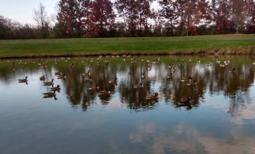 Image of rainbow park park in Saginaw, Michigan, United States Image of rainbow park park in saginaw, michigan, united-states