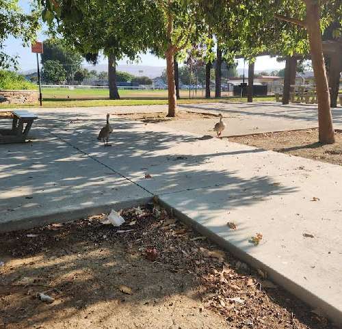 Image of George J Koch Park park in Placentia, California, United States Image of George J Koch Park park in placentia, california, united-states