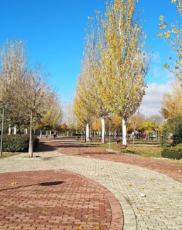 Image of Parque del Norte park in Azuqueca de Henares, Guadalajara, Spain Image of Parque del Norte park in azuqueca-de-henares, guadalajara, spain