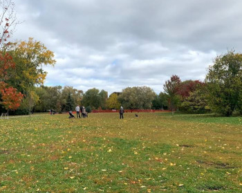 Image of Stanley Dog Park park in Ottawa, Ontario, Canada Image of Stanley Dog Park park in ottawa, ontario, canada