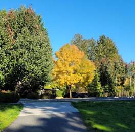 Image of Woodin Creek Park park in Woodinville, Washington, United States Image of Woodin Creek Park park in woodinville, washington, united-states