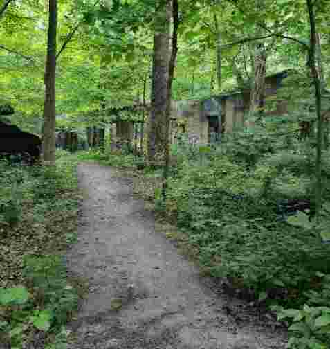 Image of Dead Man's Hollow Conservation Area park in McKeesport, Pennsylvania, United States Image of Dead Man's Hollow Conservation Area park in mckeesport, pennsylvania, united-states