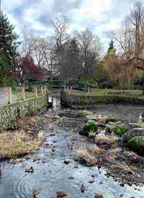 Image of Bowker Creek Walkway park in Victoria, British Columbia, Canada Image of Bowker Creek Walkway park in victoria, british-columbia, canada