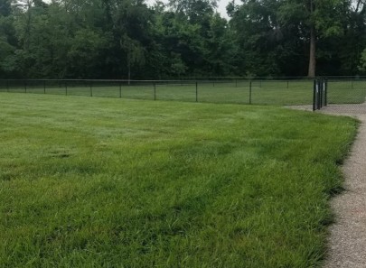 Image of Tillie Memorial Dog Park park in Berea, Kentucky, United States Image of Tillie Memorial Dog Park park in berea, kentucky, united-states
