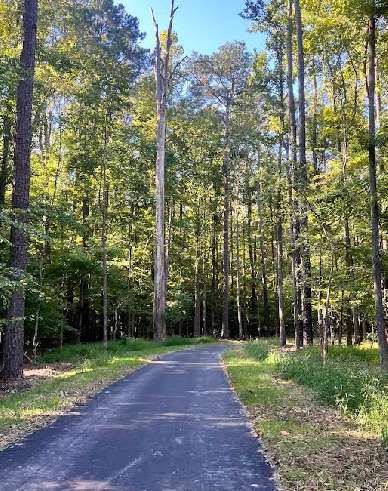 Image of Foxfire Trail park in Virginia Beach, Virginia, United States Image of Foxfire Trail park in virginia-beach, virginia, united-states