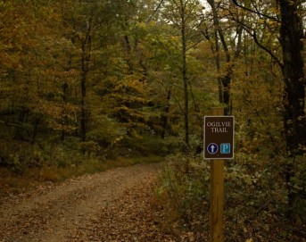 Image of Peacock Hill Nature Park park in College Grove, Tennessee, United States Image of Peacock Hill Nature Park park in college-grove, tennessee, united-states
