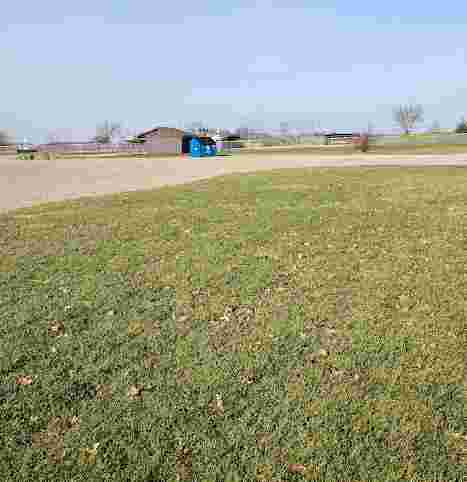 Image of Sheridan Meadows Park park in Eldridge, Iowa, United States Image of Sheridan Meadows Park park in eldridge, iowa, united-states