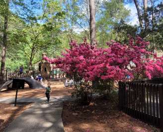 Image of Fun Forest Playground park in Chesapeake, Virginia, United States Image of Fun Forest Playground park in chesapeake, virginia, united-states