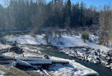 Image of Englishman River Regional Park (Top Bridge) - Allsbrook Rd Trailhead park in Parksville, British Columbia, Canada Image of Englishman River Regional Park (Top Bridge) - Allsbrook Rd Trailhead park in parksville, british-columbia, canada
