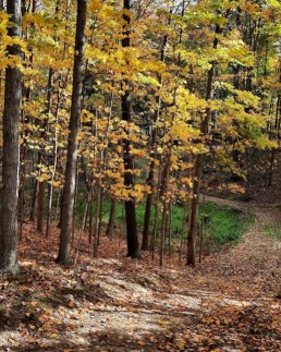 Image of Sandusky Hollow park in Ashland, California, United States Image of Sandusky Hollow park in ashland, california, united-states