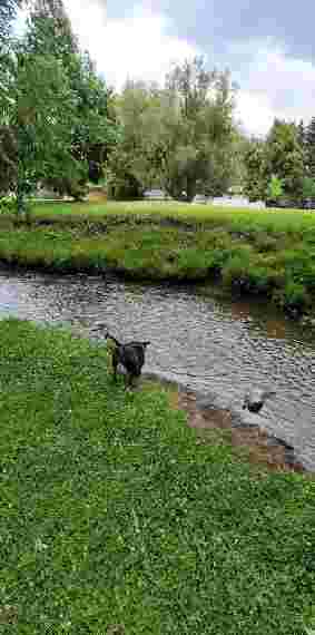 Image of Russell A Freeman Park park in Idaho Falls, Idaho, United States Image of Russell A Freeman Park park in idaho-falls, idaho, united-states