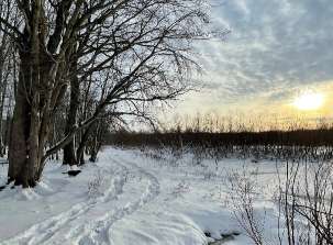 Image of Grand River Open Space park in Allendale, Michigan, United States Image of Grand River Open Space park in allendale, michigan, united-states