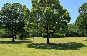 Image of 霞間ヶ渓スポーツ公園 park in Ikeda, Gifu, Japan Image of 霞間ヶ渓スポーツ公園 park in ikeda, gifu, japan