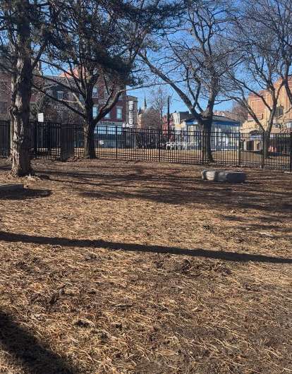 Image of Olde English Downtown Dog Park park in Albany, California, United States Image of Olde English Downtown Dog Park park in albany, california, united-states